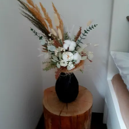 Lavecka U Valtic Tatil parkı